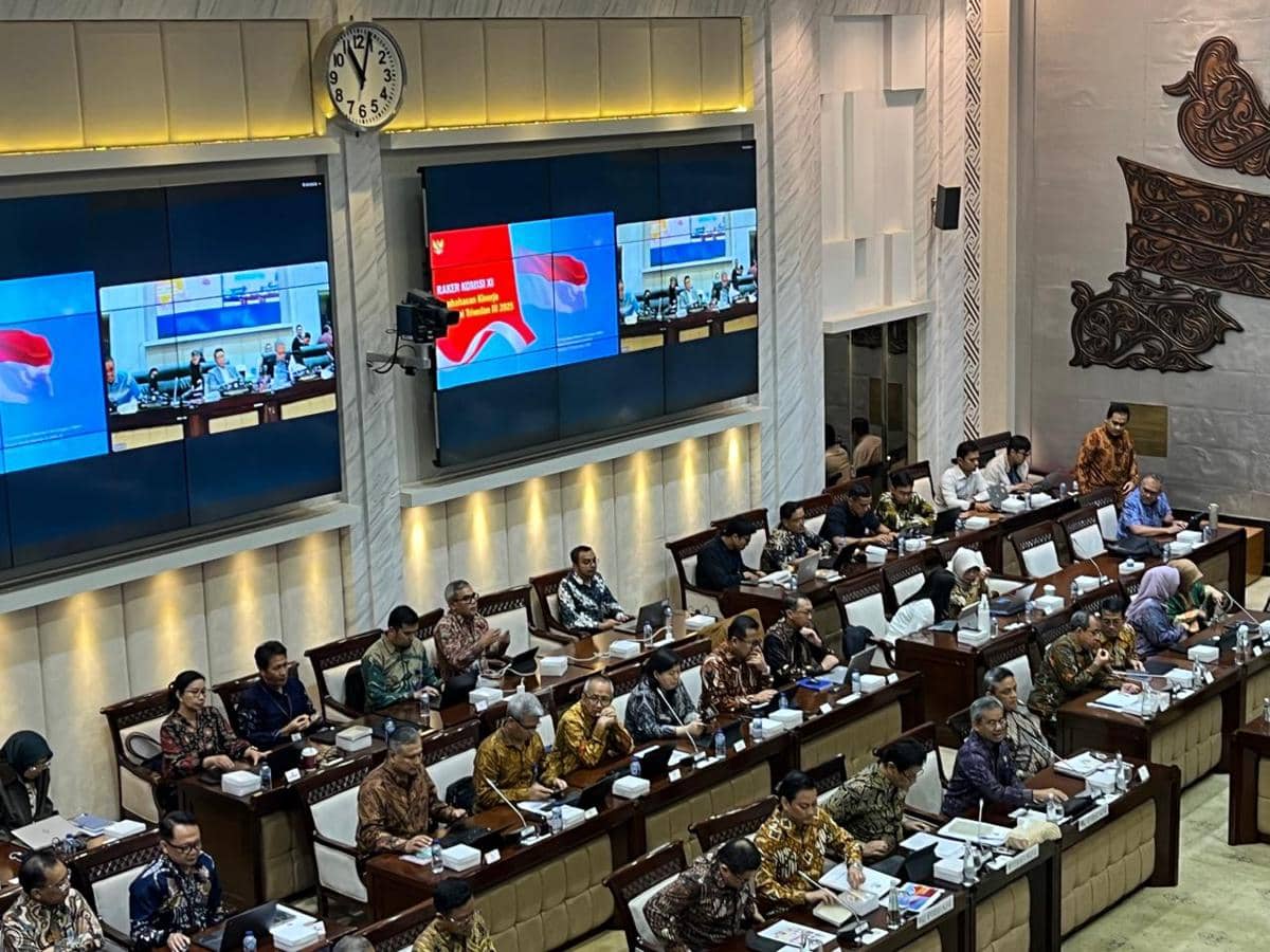 WhatsApp Image 2025-11-27 at 13.43.23 (1).jpeg