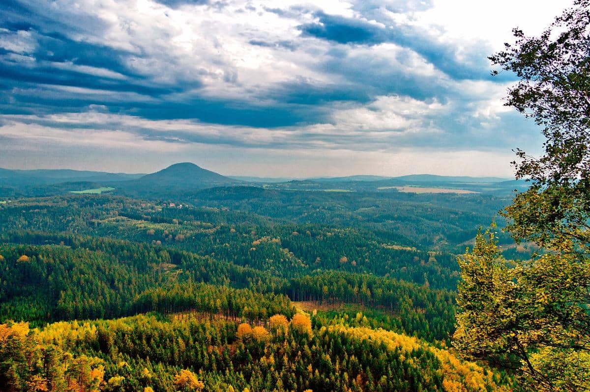 Ilustrasi Bumi Terindah dengan hutan pegunungan hijau