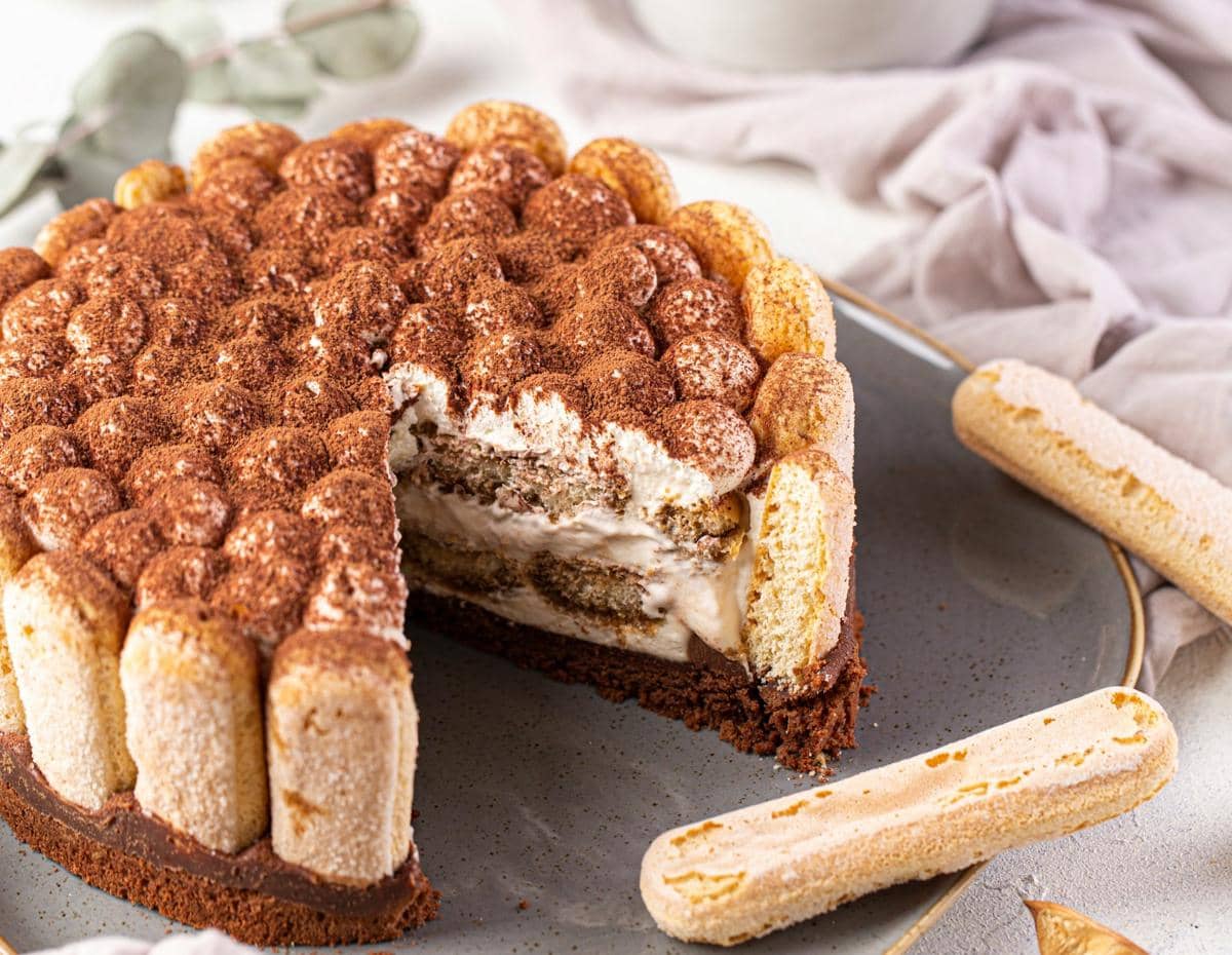 ilustrasi tiramisu yoghurt