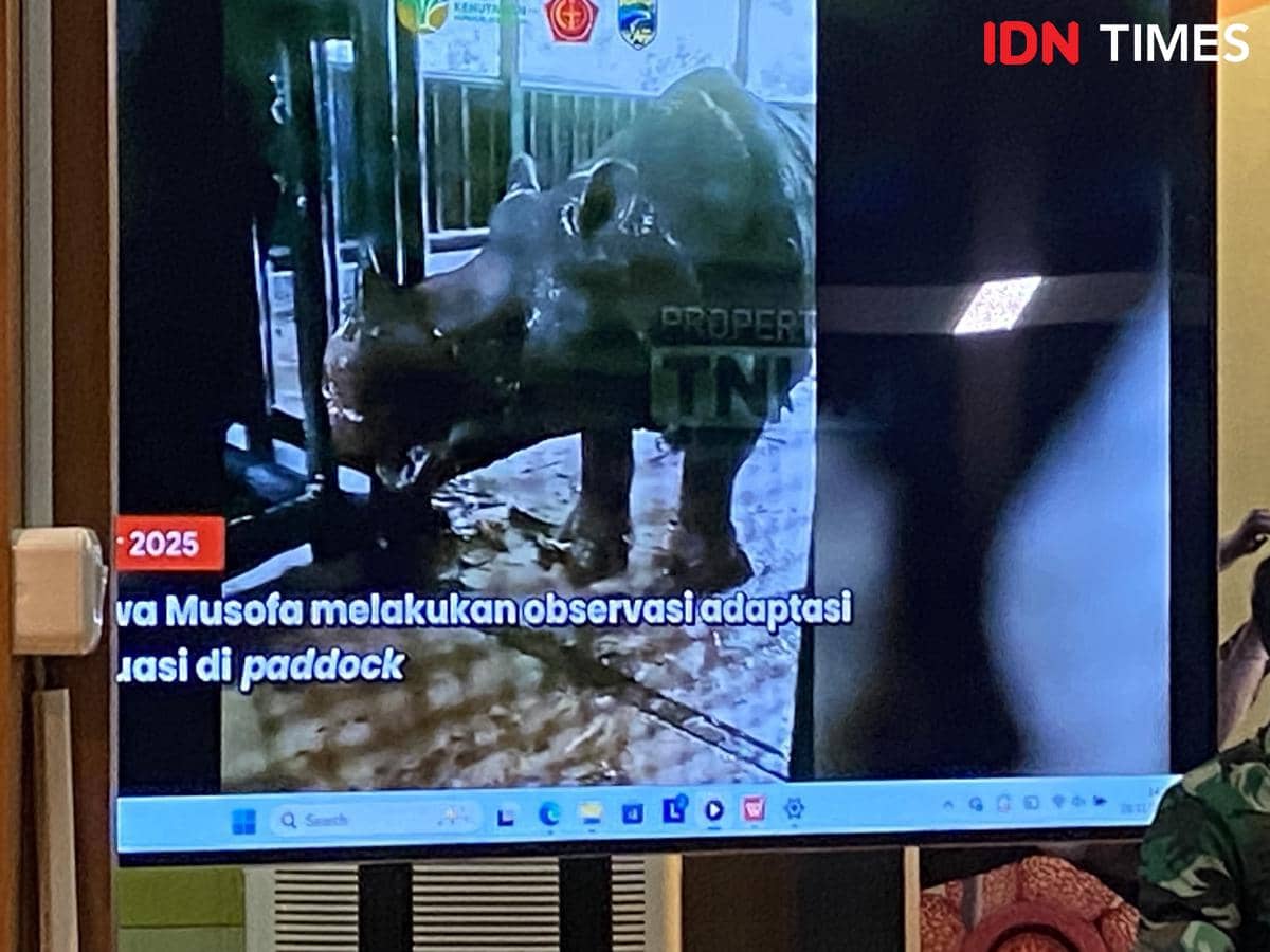 Jumpa pers Kementerian Kejutanan terkait matinya Badak Jawa Musofa (IDN Times/Irfan Fathurohman)