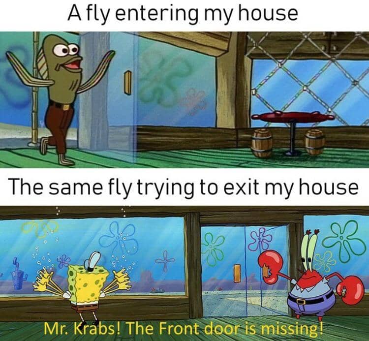 meme SpongeBob tentang lalat