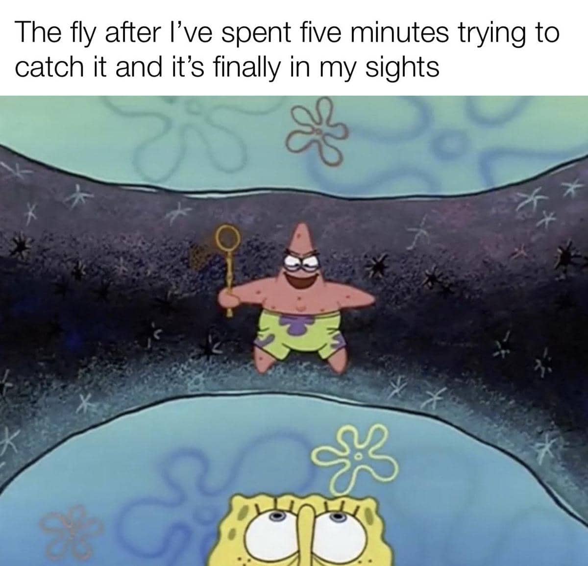 meme SpongeBob tentang lalat