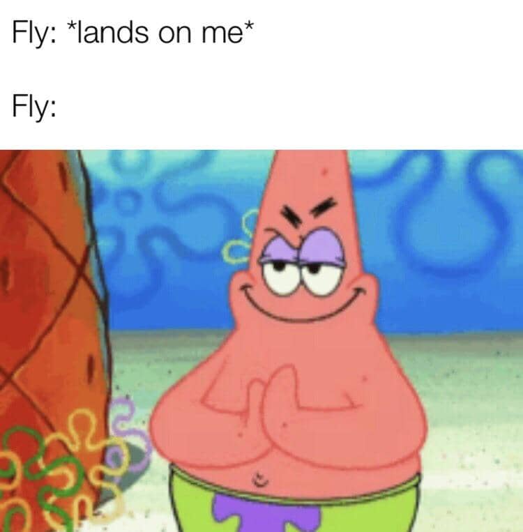 meme SpongeBob tentang lalat