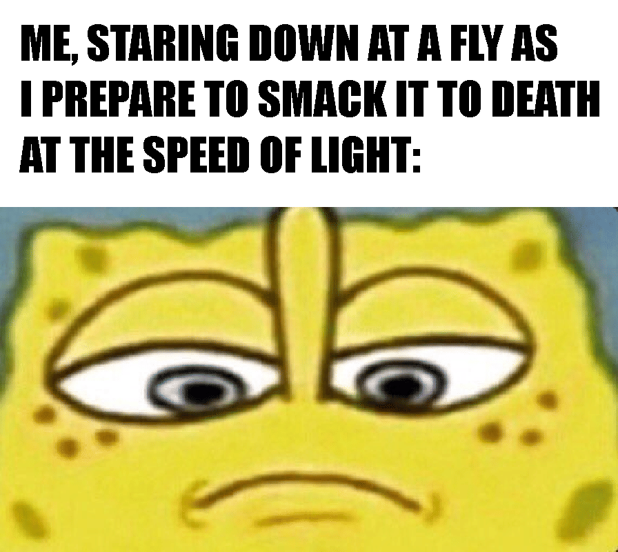 meme SpongeBob tentang lalat