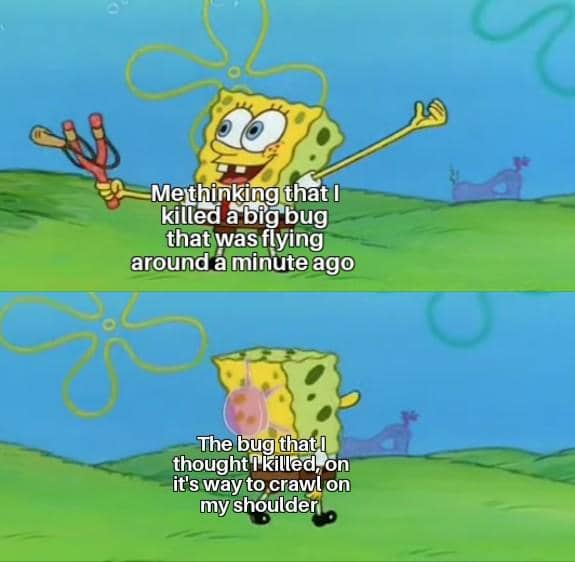 meme SpongeBob tentang lalat