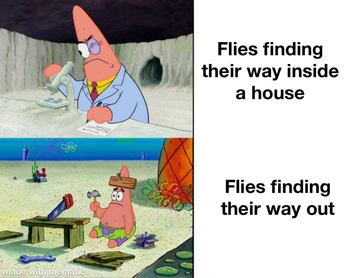 meme SpongeBob tentang lalat