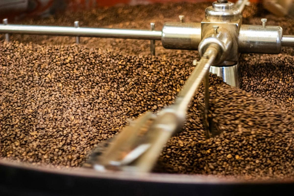 Produsen Kopi Terbesar Dunia Mulai Alihkan Fokus ke Robusta