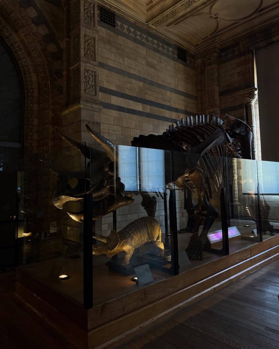 Yasmin Napper ke Natural History Museum London