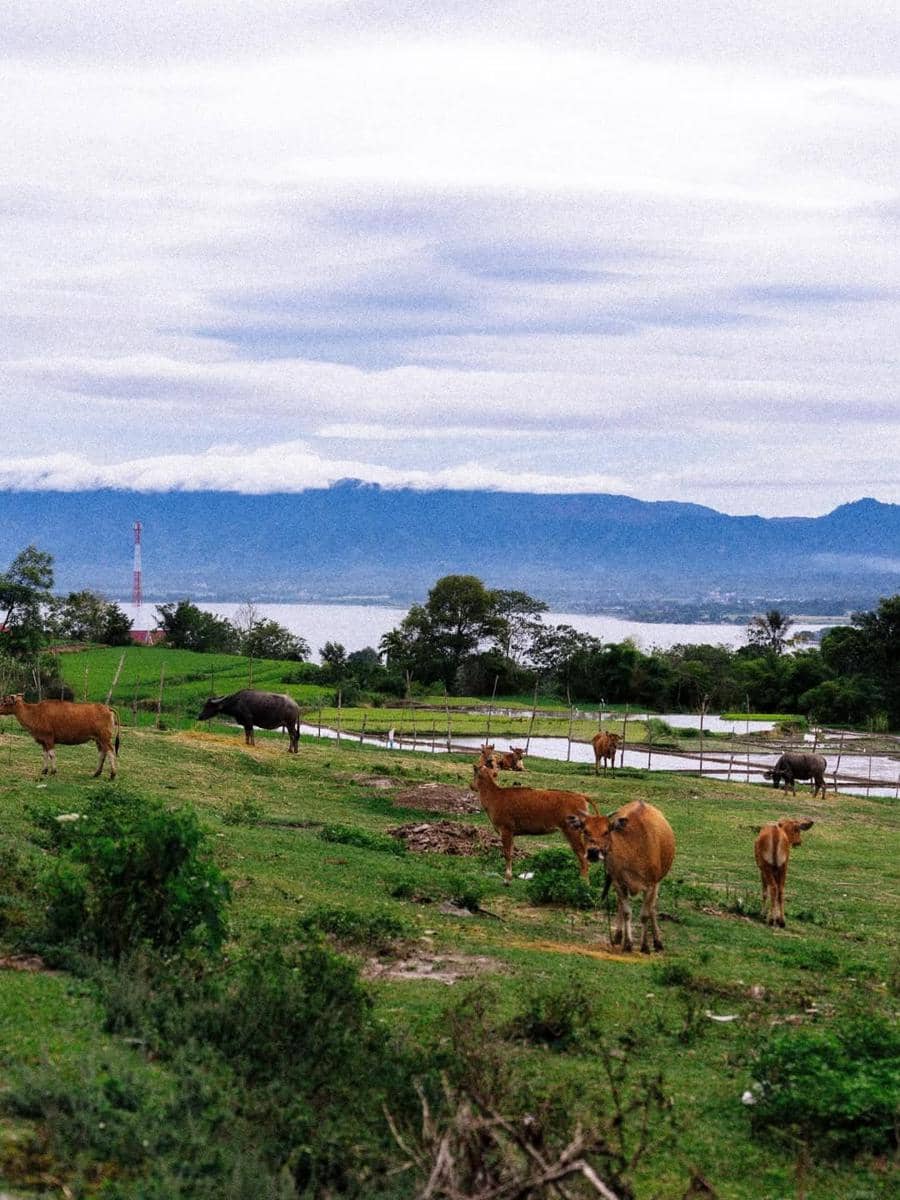 Jeremy Thomas saat jogging di sekitar Danau Toba