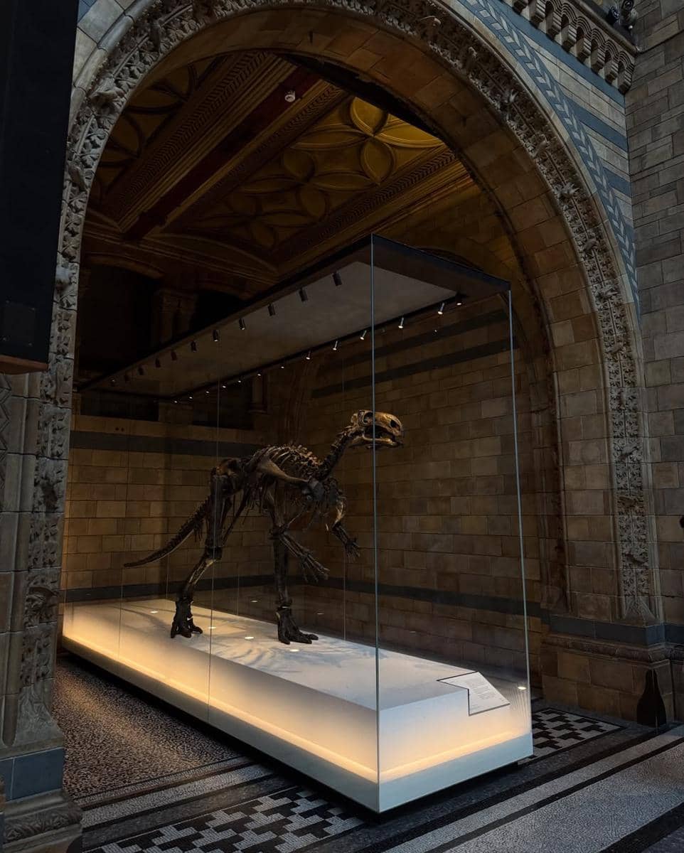 Yasmin Napper ke Natural History Museum London