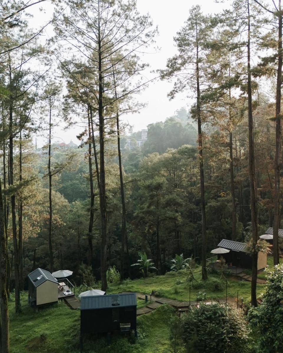 salah satu lokasi Bobocabin yang dikelilingi alam 