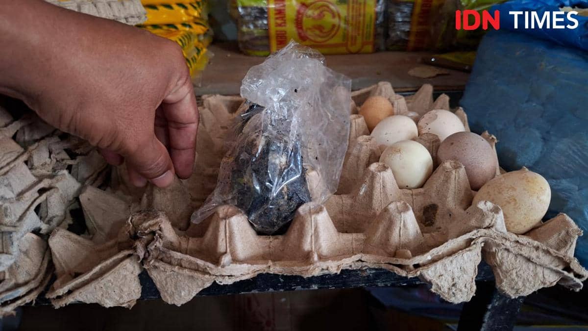 WhatsApp Image 2025-11-29 at 18.47.05 (1).jpeg