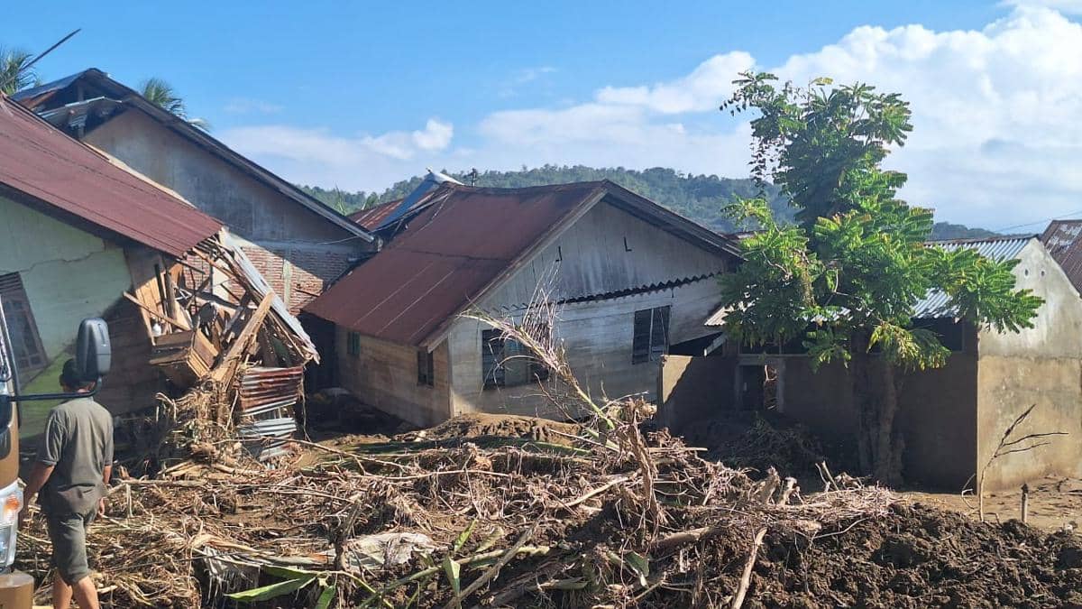 WhatsApp Image 2025-11-29 at 20.33.56.jpeg