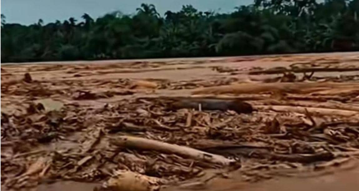 Kayu gelondongan terbawa arus banjir di Sumatra