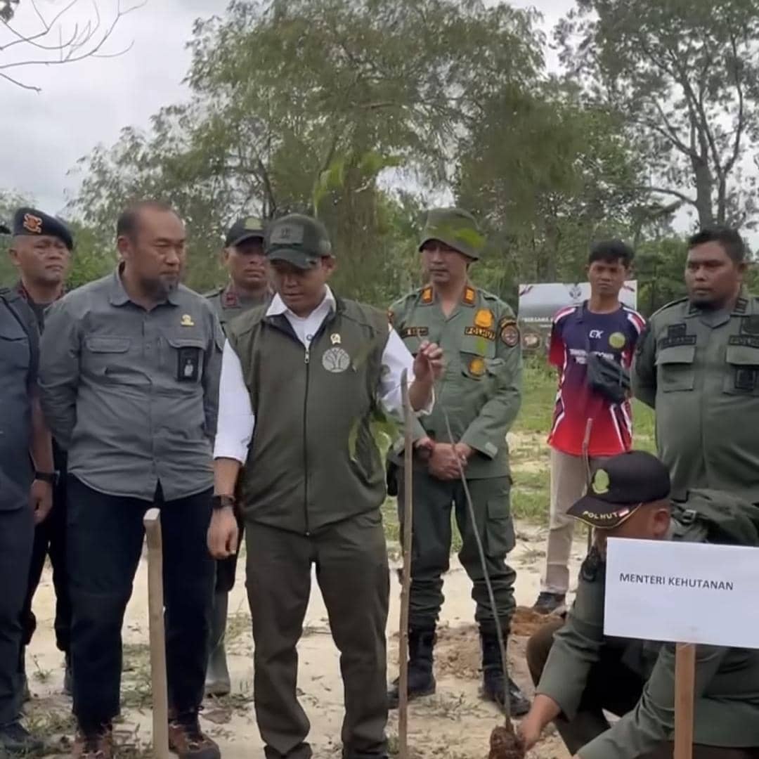 Raja Juli, Taman Nasional Tesso Nilo