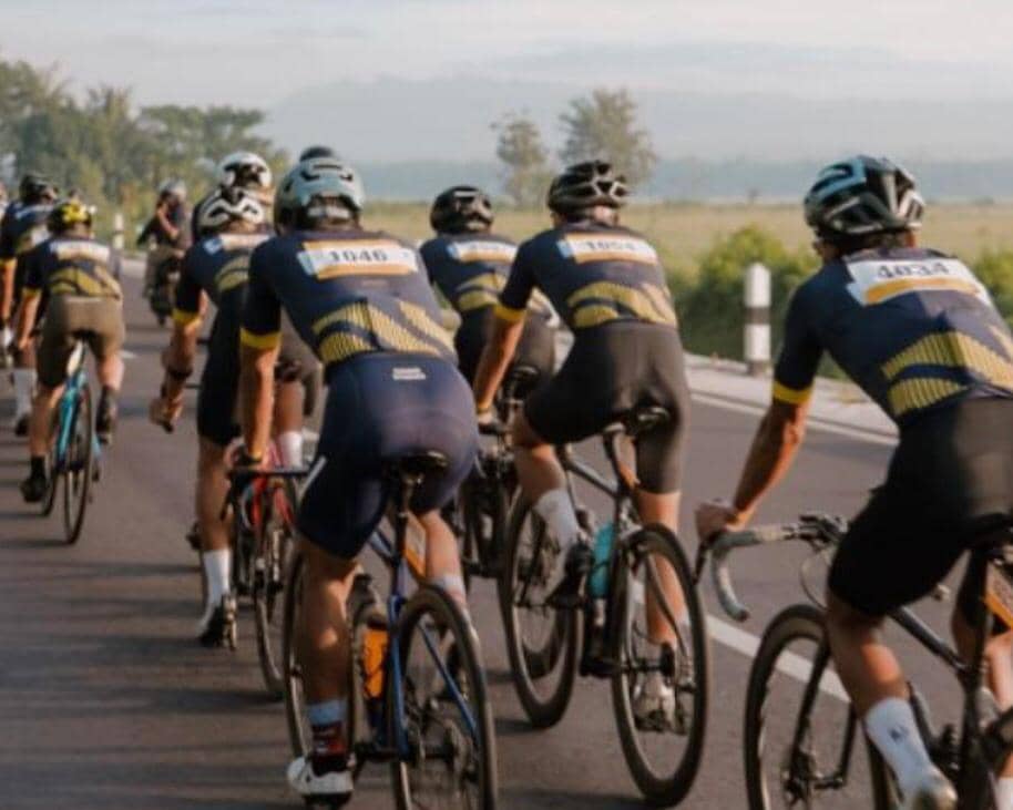 WhatsApp Image 2025-11-29 at 14.54.57.jpeg