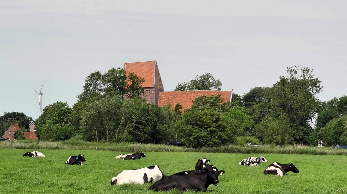 potret suasana pedesaan yang tenang tempat Gereja Suurhusen berdiri 