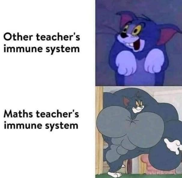 meme kartun tentang matematika