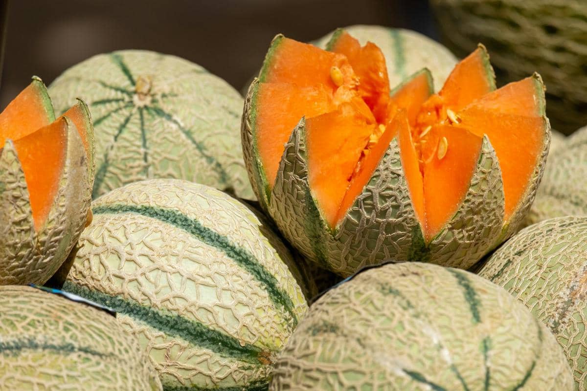 Gak Cuma Semangka, Ini Trik Rahasia Pilih Melon Manis Legit di Pasar Tanpa Harus Ditepuk