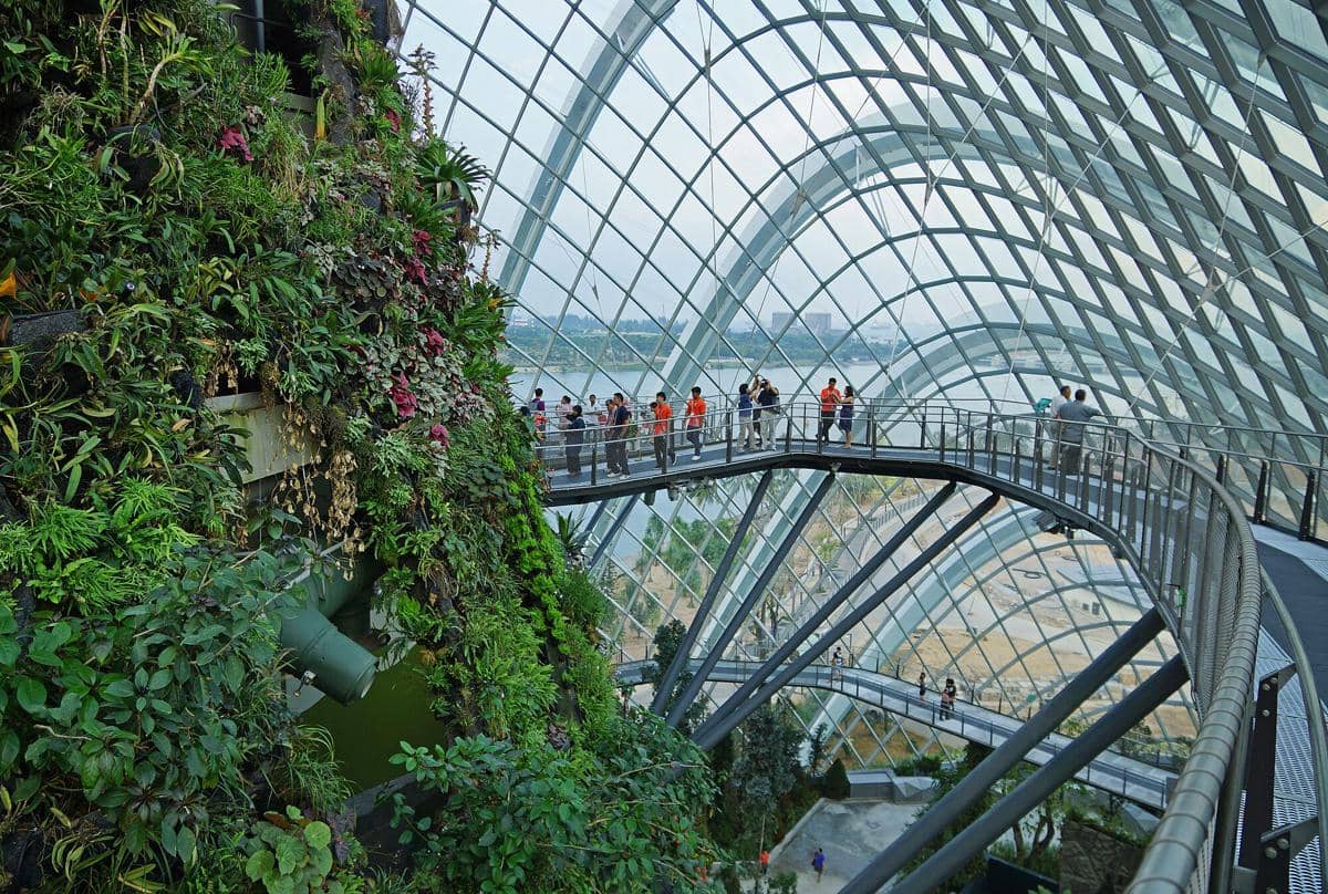 potret Cloud Forest Singapore