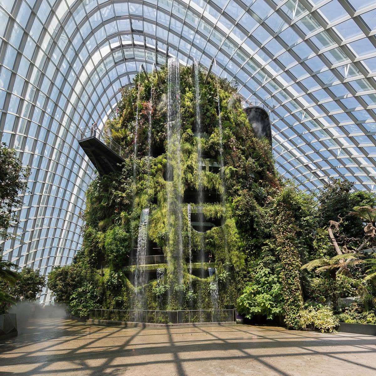 potret Cloud Forest Singapore