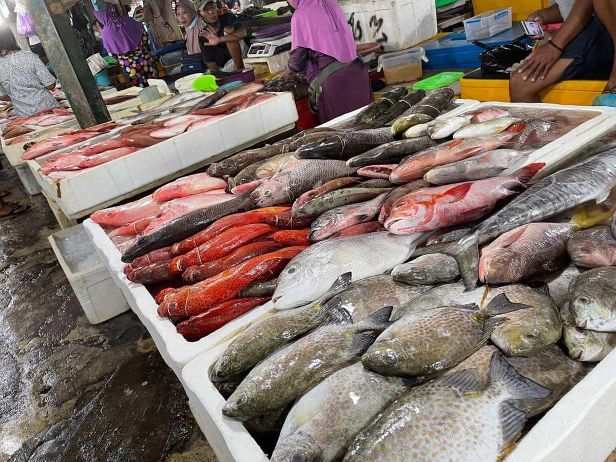 Beragam ikan segar di Pasar Ikan Kedonganan.