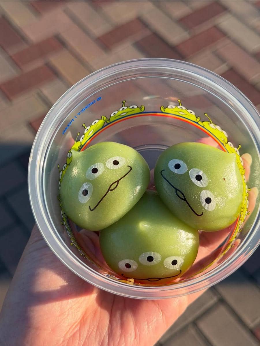 Ummi Quary pertama kali ke Disneyland Jepang