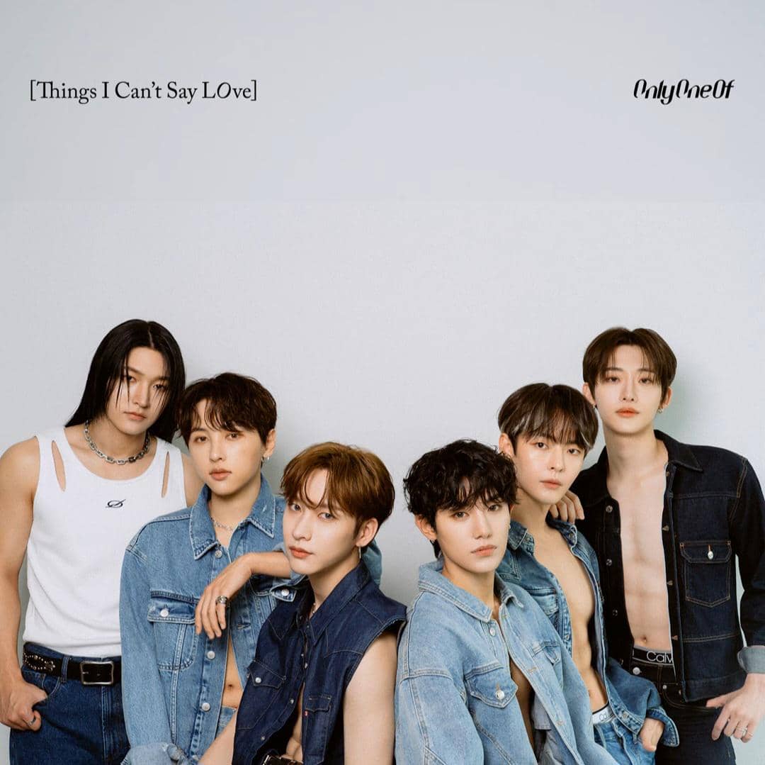 cover album Things I Can't Say Love