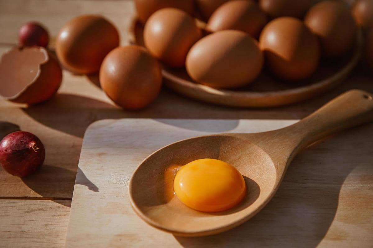 ilustrasi kuning telur 