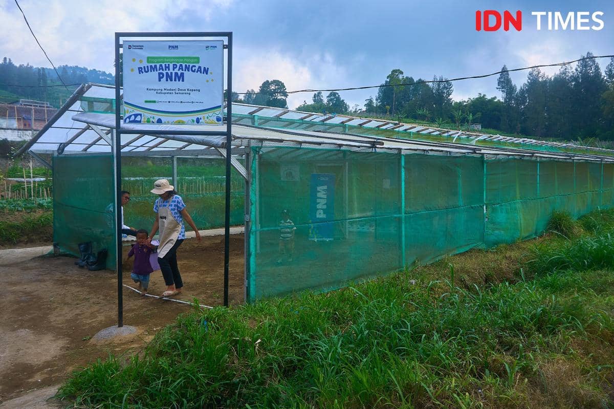 Ibu rumah tangga dan anaknya beraktivitas di Program Rumah Pangan Kampung Madani. (IDN Times/Dhana Kencana)