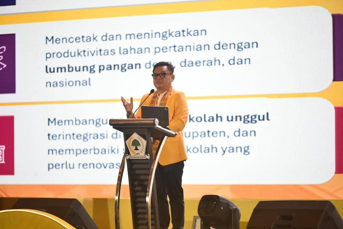 WhatsApp Image 2025-11-30 at 13.17.49_554ae1b0.jpg