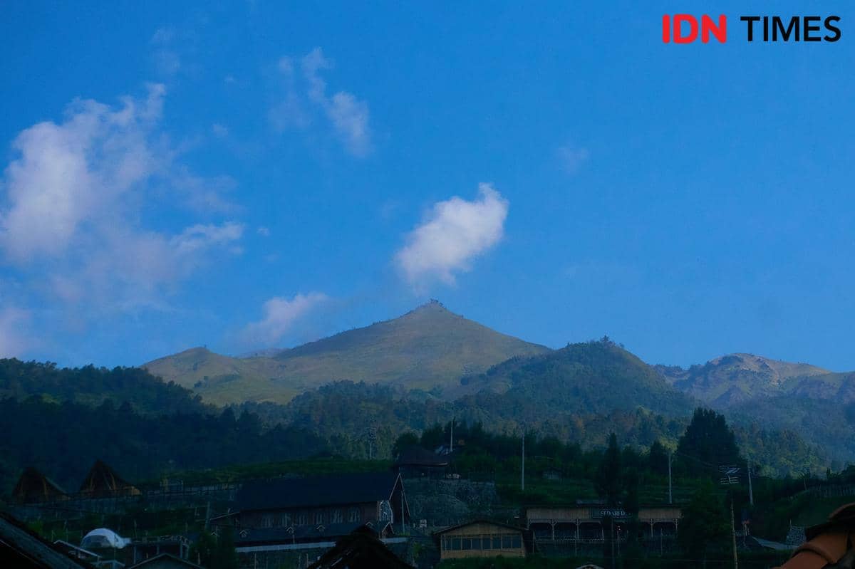 Kawasan lereng Gunung Merbabu. (IDN Times/Dhana Kencana)