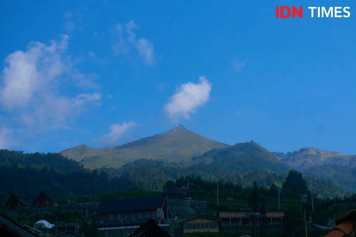 Kawasan lereng Gunung Merbabu. (IDN Times/Dhana Kencana)