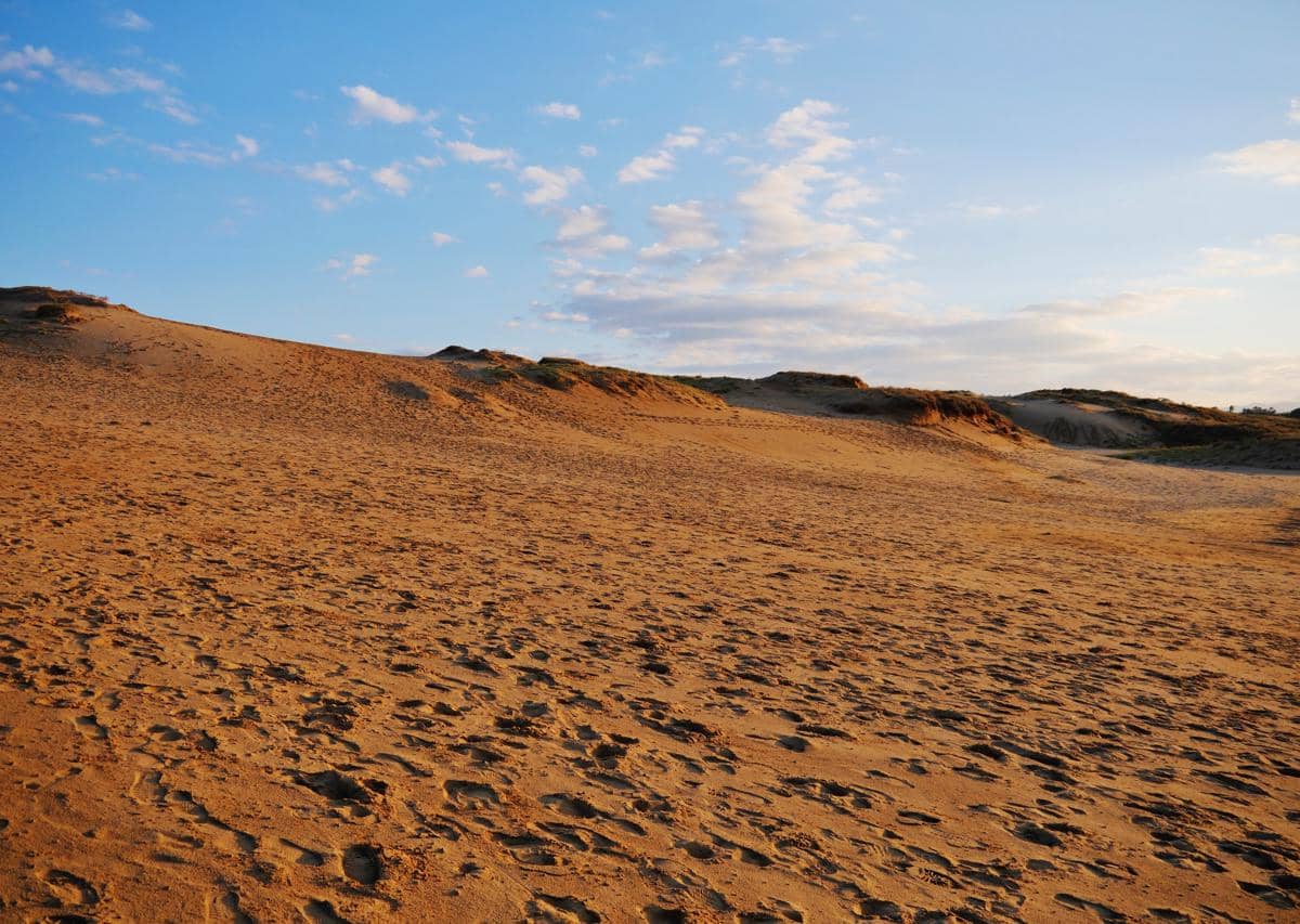 potret Tottori Sand Dunes, lokasi latihan militer Jepang pada akhir abad ke-19