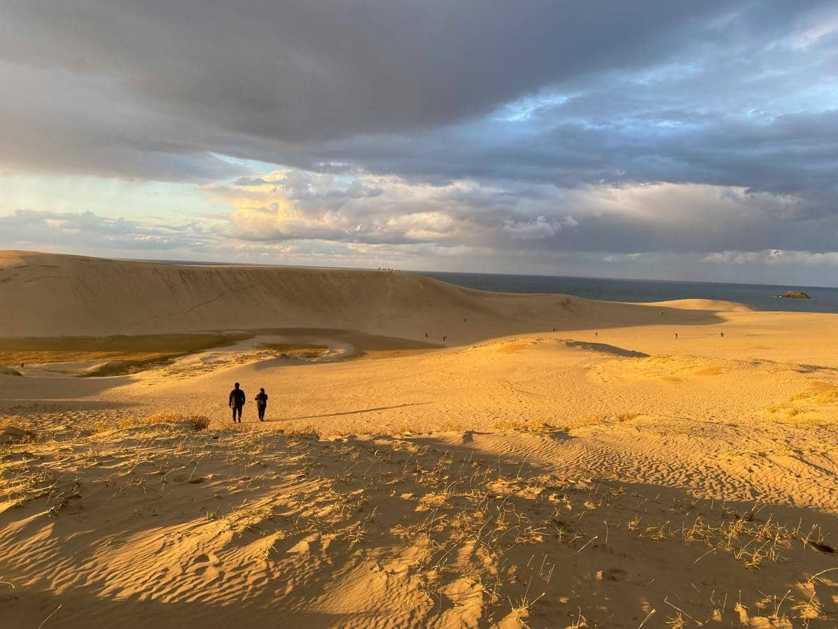 potret hamparan luas Tottori Sand Dunes yang dikenal sebagai satu-satunya “gurun pasir” besar di Jepang