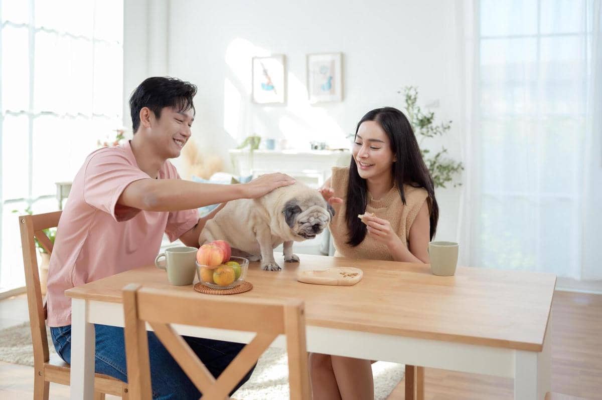 ilustrasi kebiasaan pasangan 