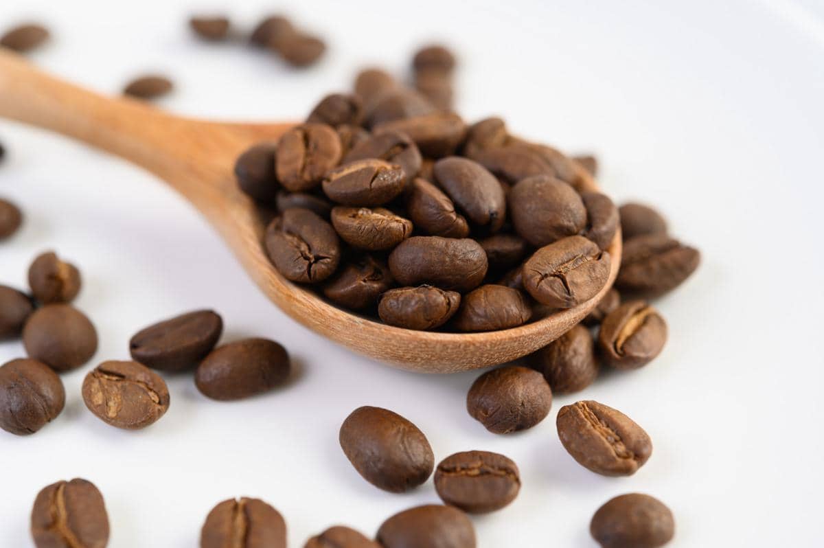 ilustrasi biji kopi