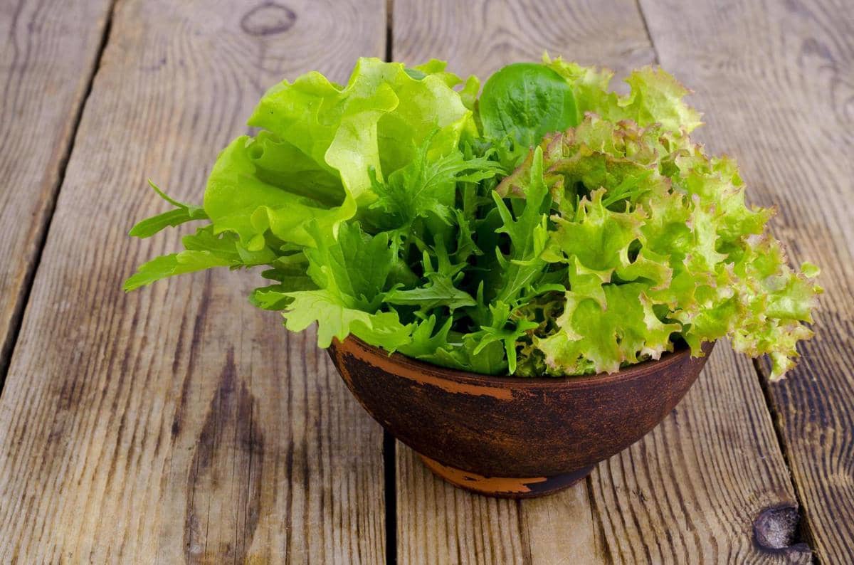 ilustrasi sayuran mentah 