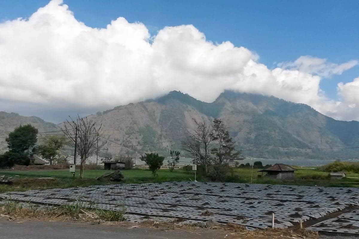 panorama alam di Kintamani (dok.pribadi/Natalia Indah)