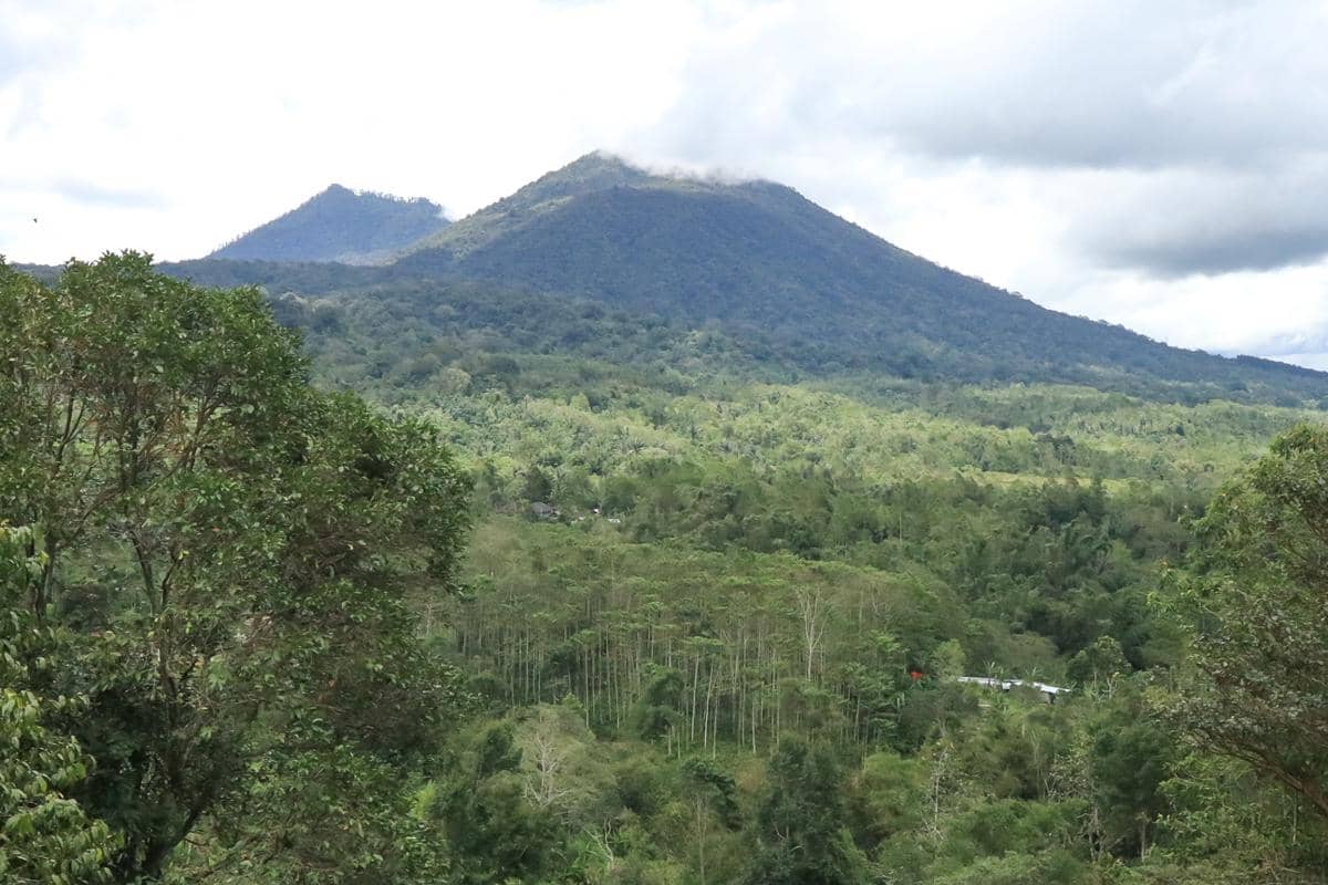Gunung Batukaru yang terlihat di Jatiluwih (dok.pribadi/Natalia Indah)