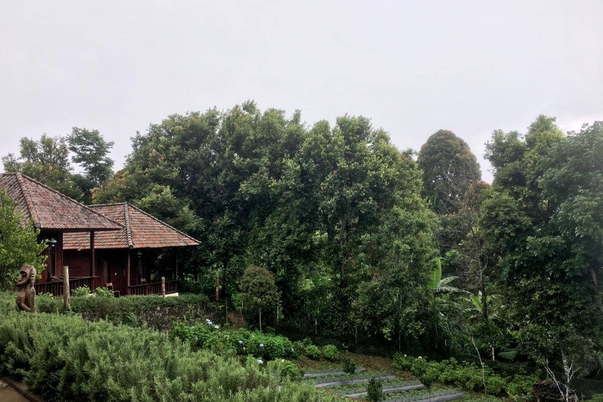 salah satu penginapan di Munduk (dok.pribadi/Natalia Indah)