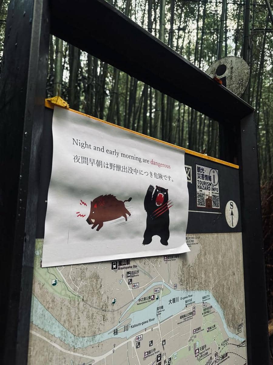 Yoriko Angeline saat jalan-jalan di Arashiyama.