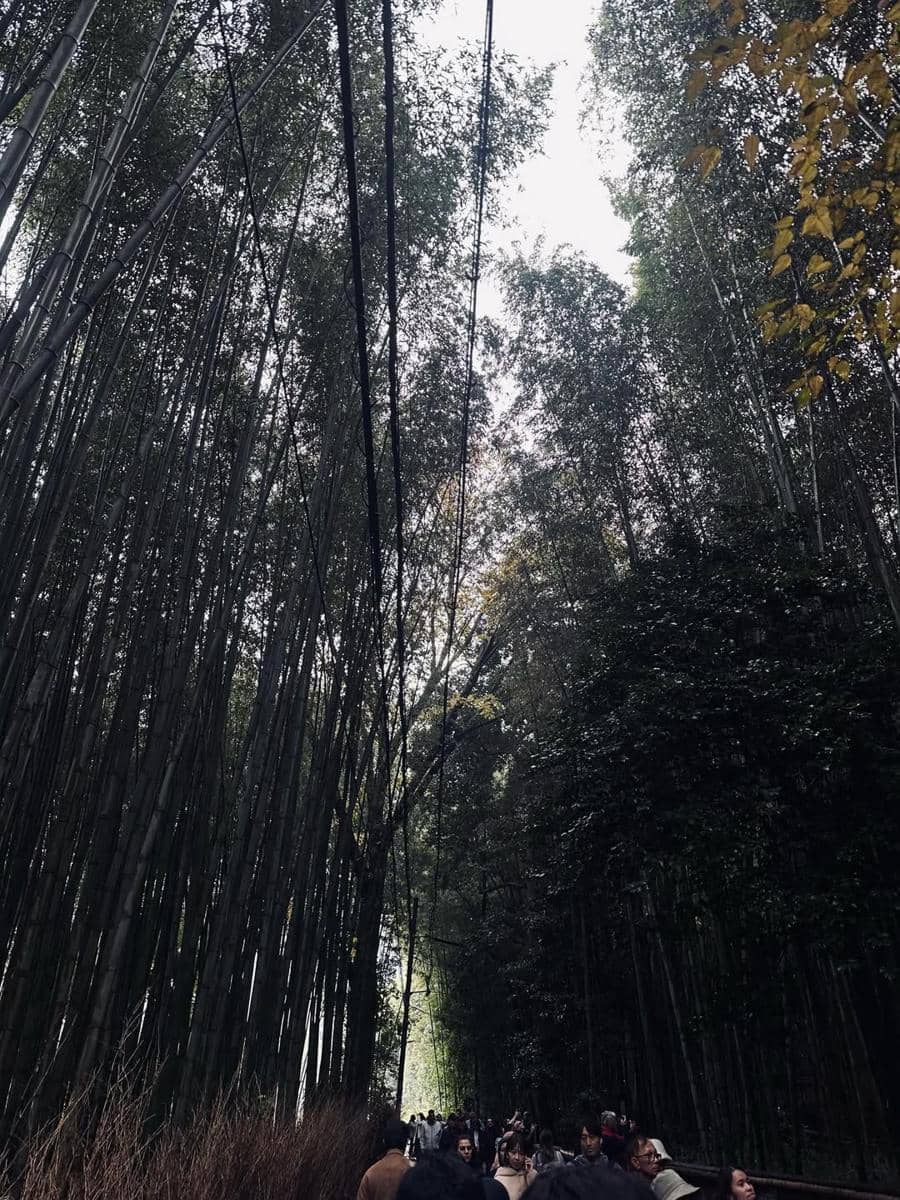 Yoriko Angeline saat jalan-jalan di Arashiyama.
