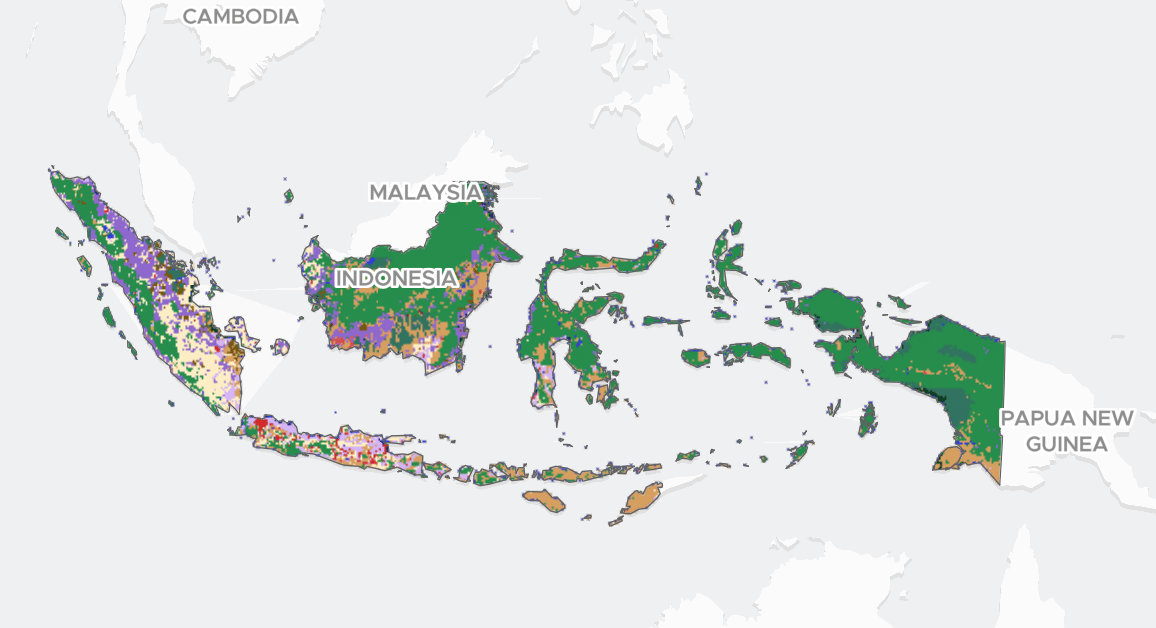 tampilan platform MapBiomas Indonesia