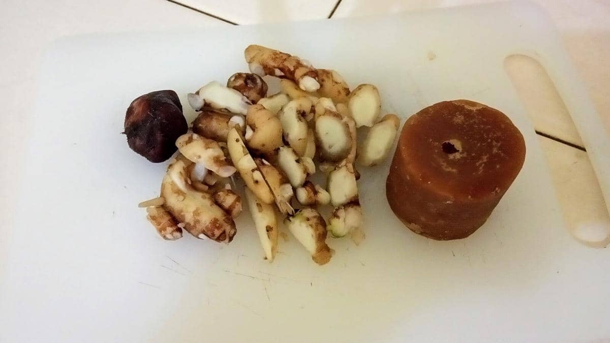 ilustrasi bahan baku jamu beras kencur