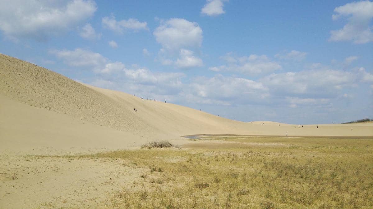 potret sebagian area Tottori Sand Dunes yang mulai tertutupi tanaman liar