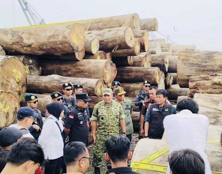 Kementerian Kehutanan (Kemenhut) mengungkap kasus illegal logging di Kepulauan Mentawai, Sumatra Barat (Sumbar).