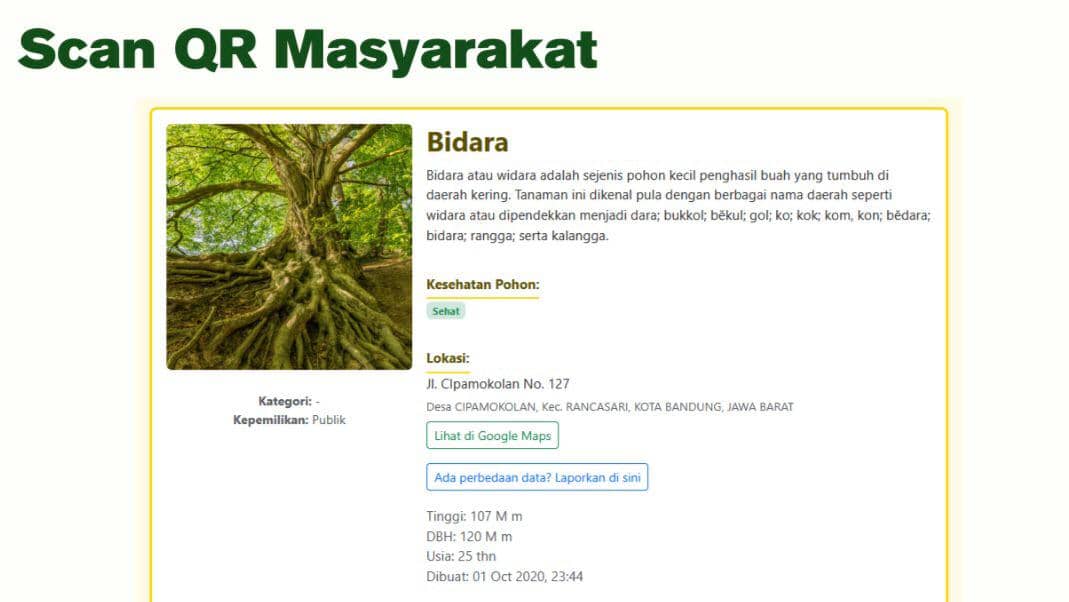 WhatsApp Image 2025-12-01 at 5.08.55 PM (1).jpeg