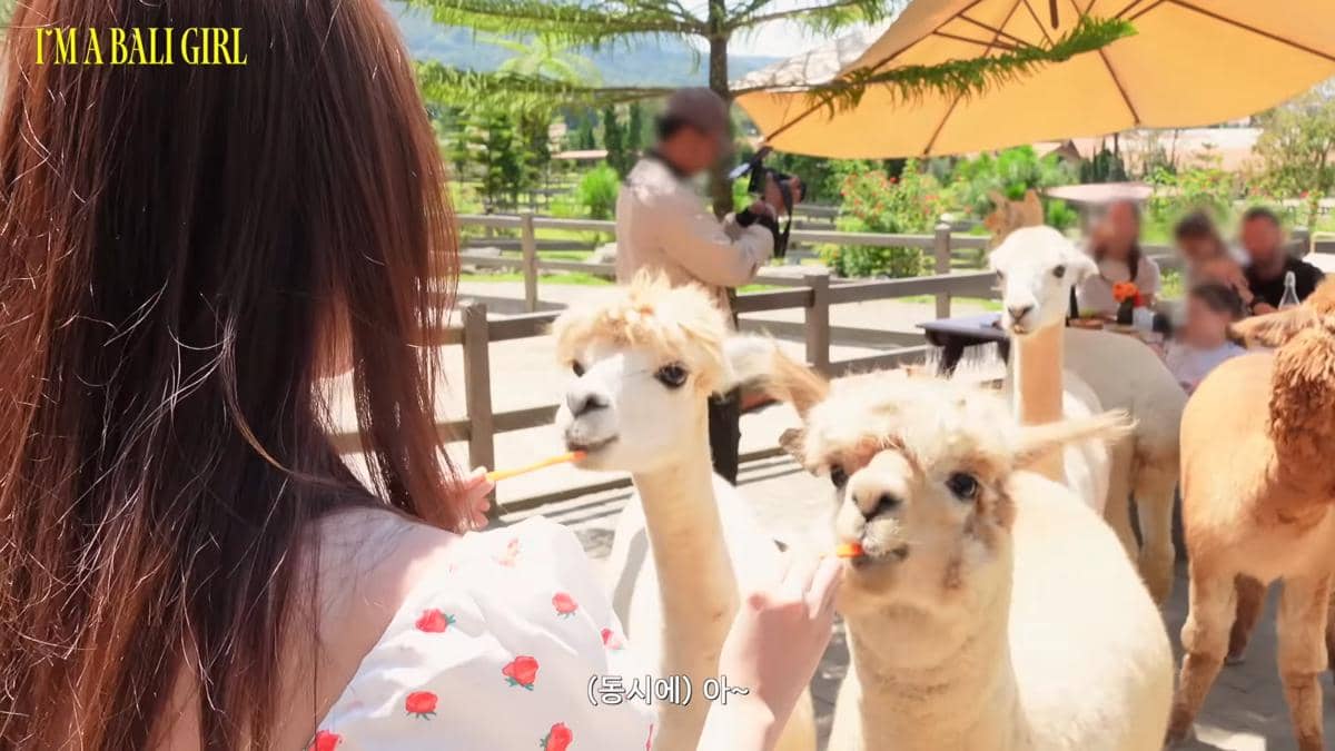 Potret Carmen Hearts2Hearts liburan ke Bali