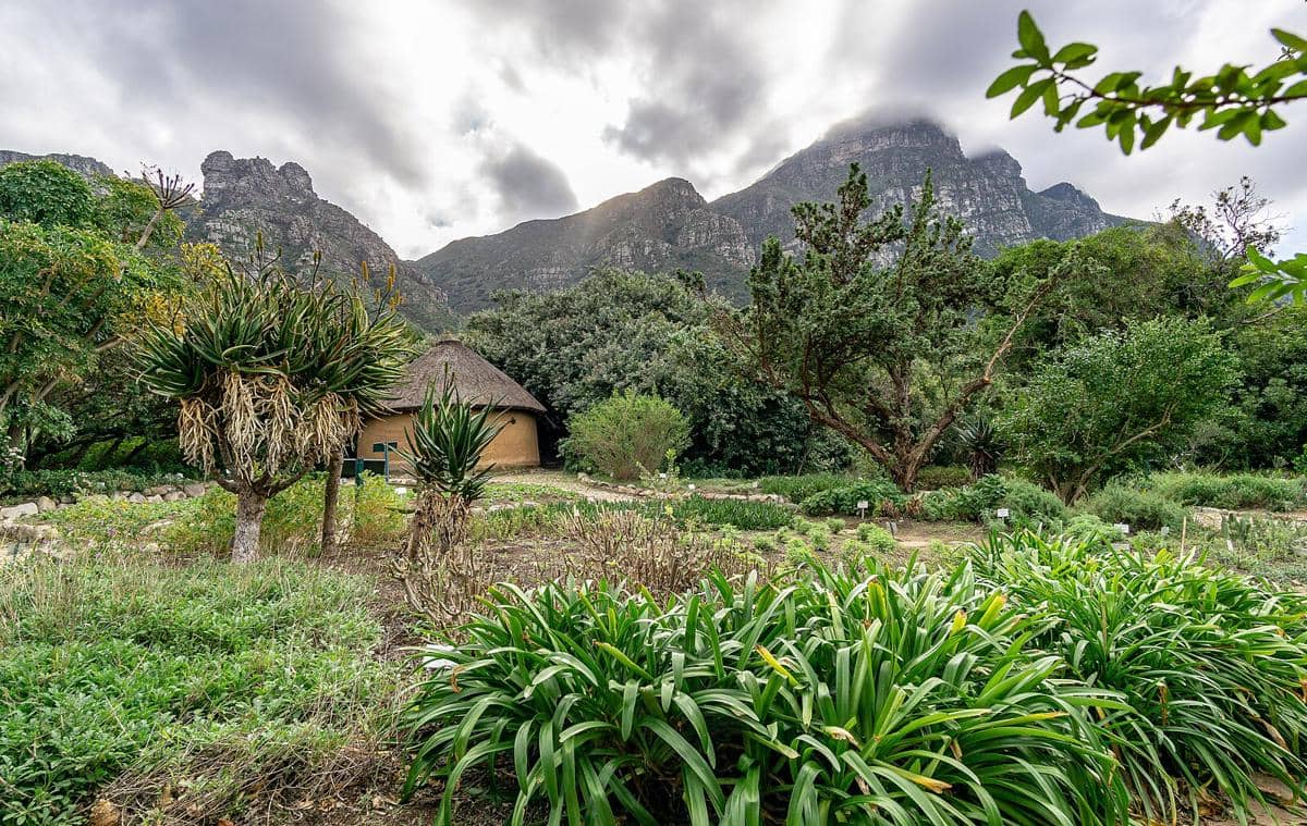 potret Kirstenbosch National Botanical Garden